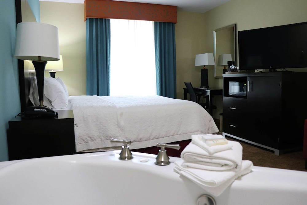 Hampton Inn Austin Oak Hill - photo 31