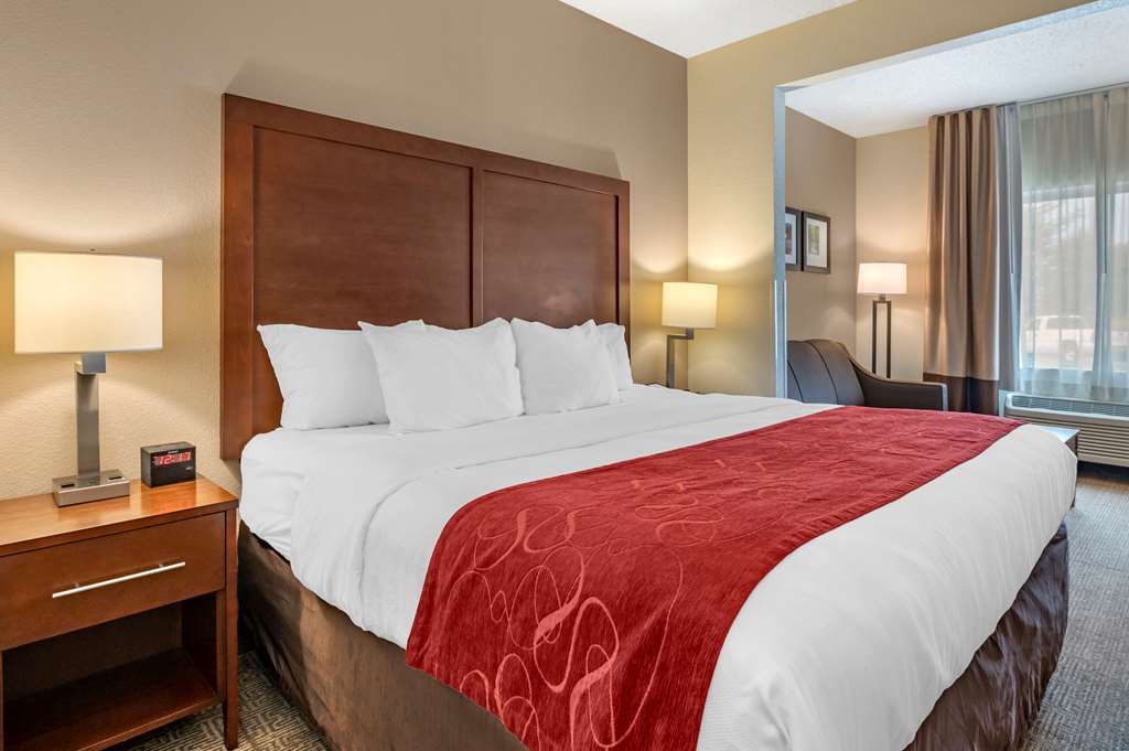 Comfort Suites Columbus West Hilliard - photo 20