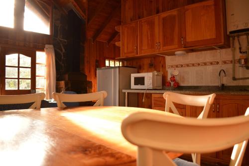 Cascadas del Llaima — Temuco — photo 4
