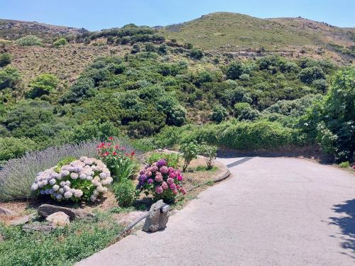 Stone House near Achla River — 4-Star Luxury Hotel in Andros, Greece