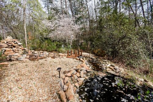 Sunny Bear Escape — Blue Ridge — photo 4