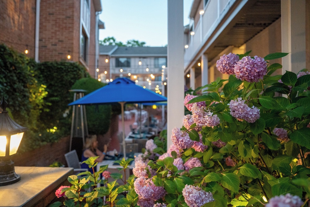 Southampton Inn - photo 32