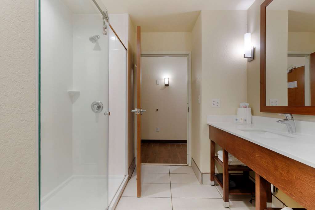 Comfort Suites Piedmont Greenville South - photo 24