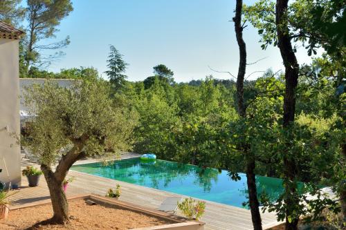 Sous les oliviers Jacuzzi Studios de standing tout équipés — 5-Star Luxury Hotel in Saint Maximin La Sainte Baume, France