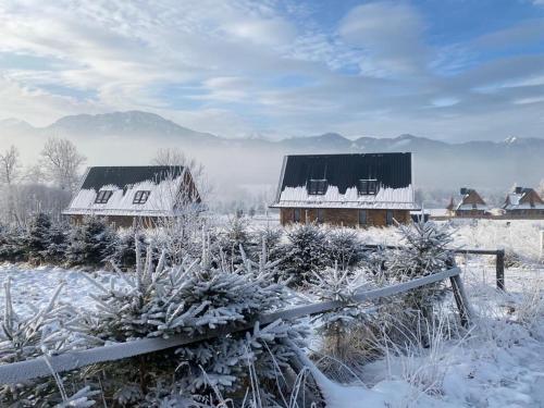Tatra Twin House — 4-Star Luxury Hotel in Koscielisko, Poland