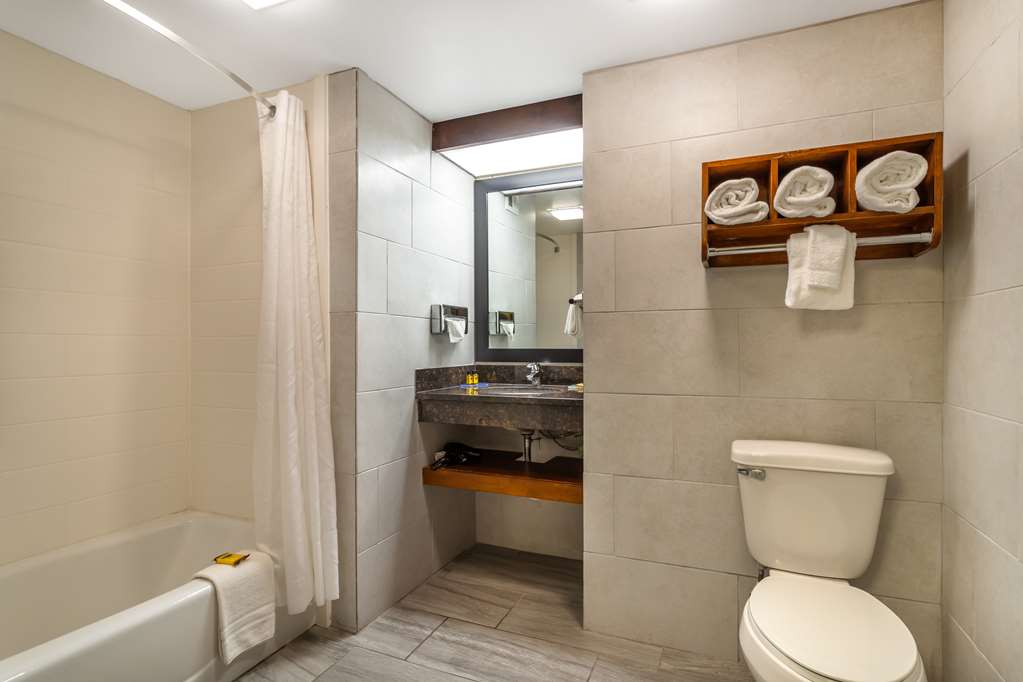 Best Western Plus Houston Energy Corridor - photo 21