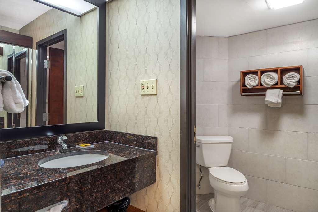 Best Western Plus Houston Energy Corridor - photo 24