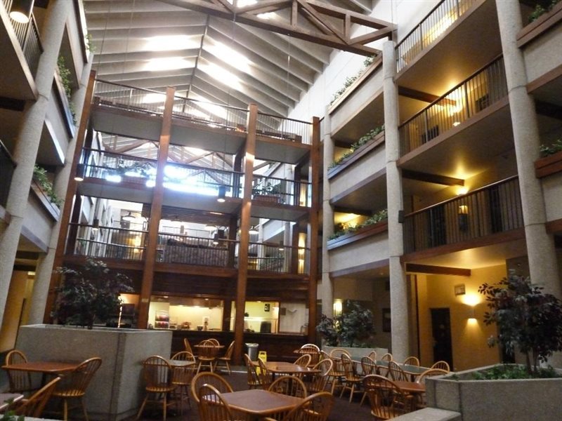 Quality Inn and Suites Downtown North — Austin — photo 3