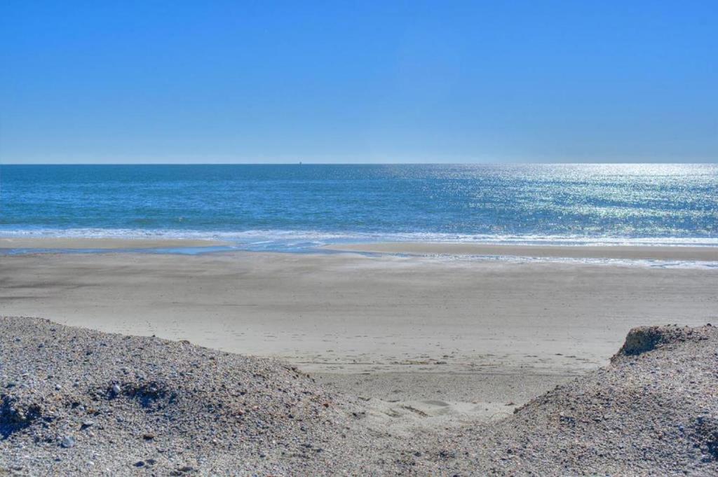 Beach Landing Too - photo 6