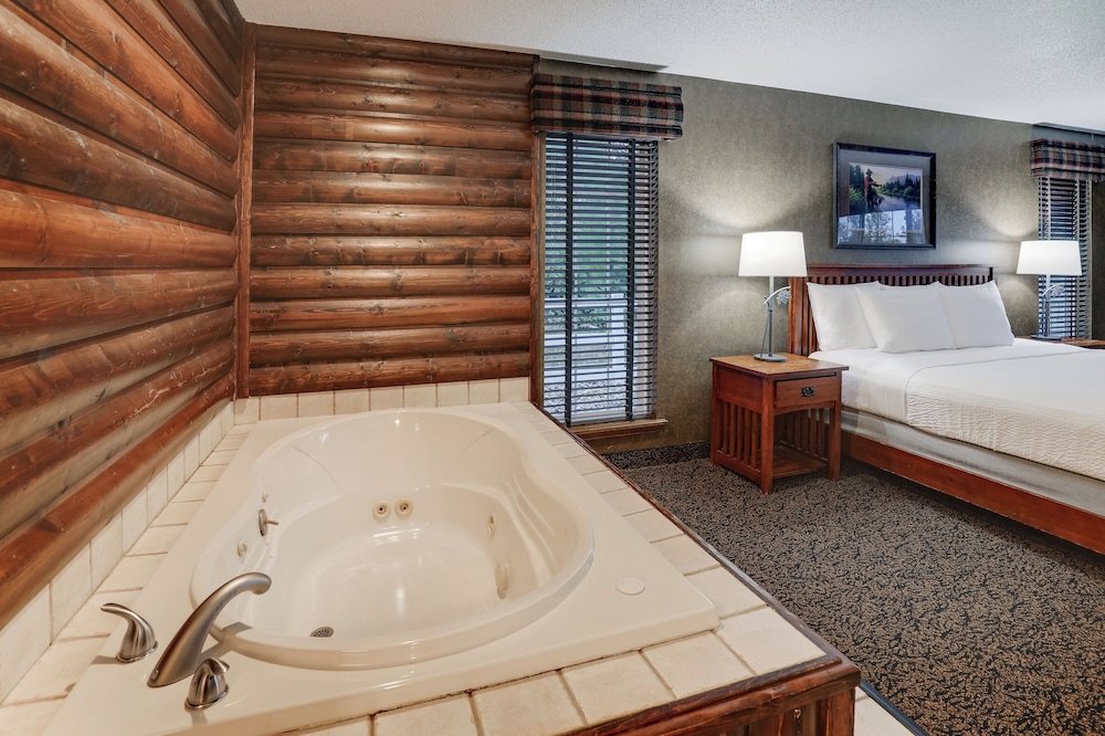 Stoney Creek Hotel St. Joseph - photo 19