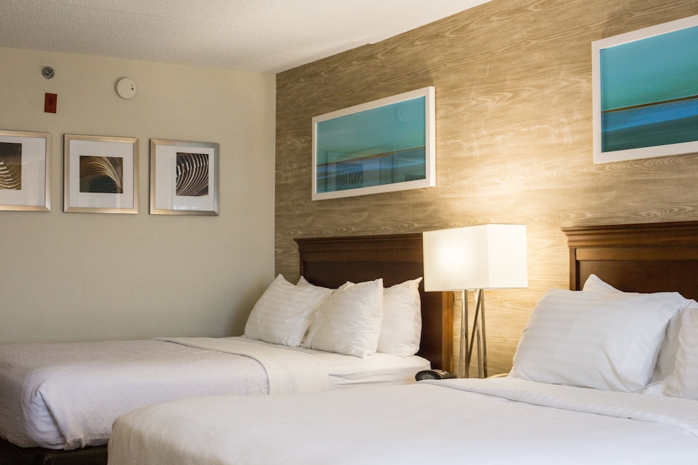 Holiday Inn & Suites Bolingbrook by IHG - photo 20