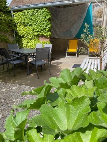 Igor - carbon neutral hotel in Chabris