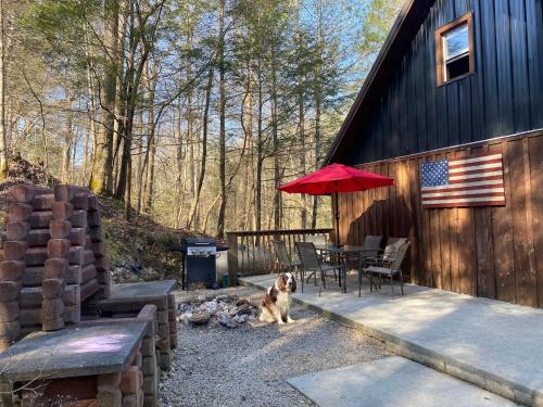 Homestead Cabin Red River Gorge — 4-Star Luxury Hotel in Irvine, United States
