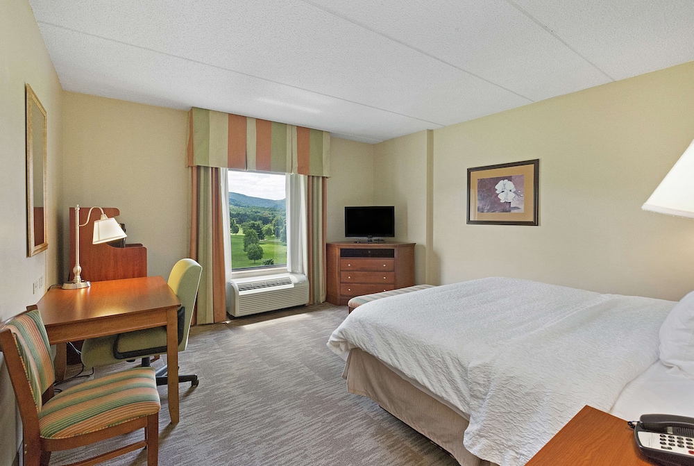 Hampton Inn & Suites Blairsville - photo 10