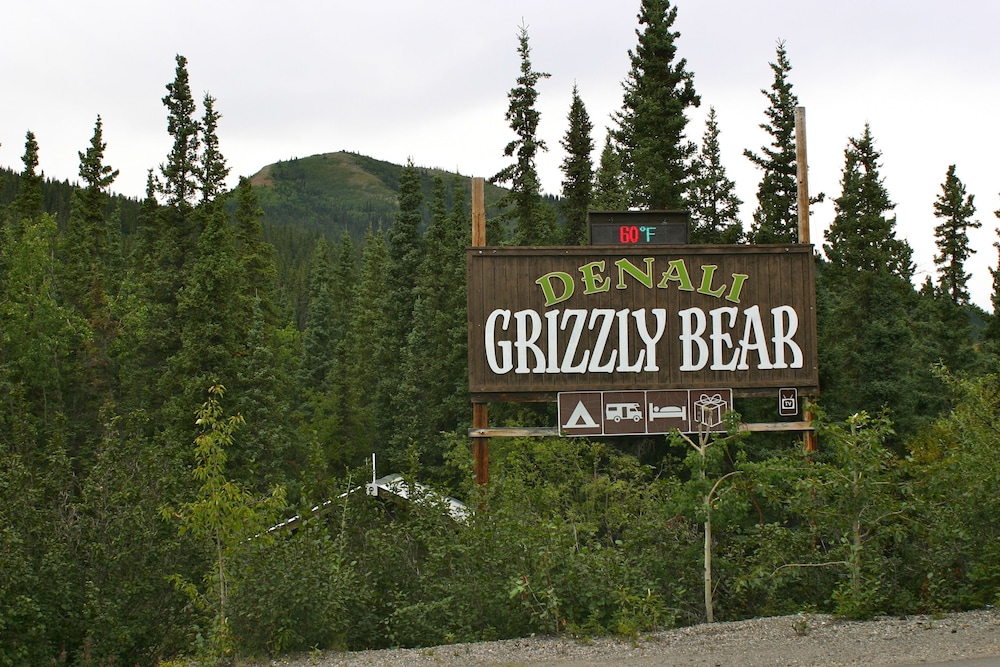 Denali Grizzly Bear Resort - photo 27