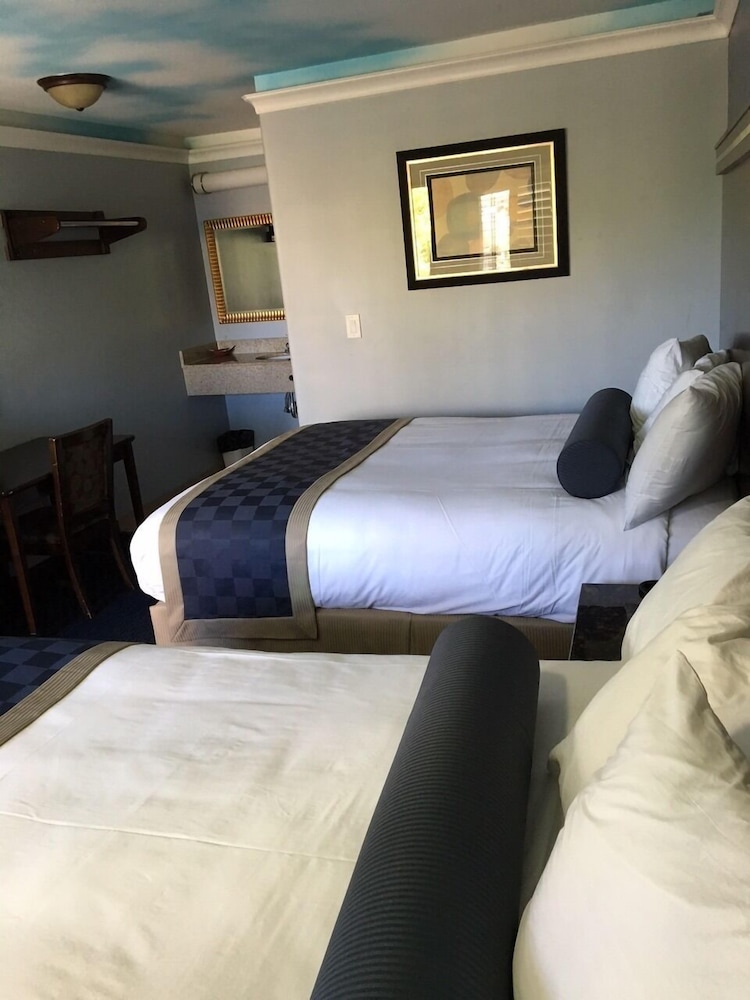 Hollywood Palms Inn and Suites - photo 13