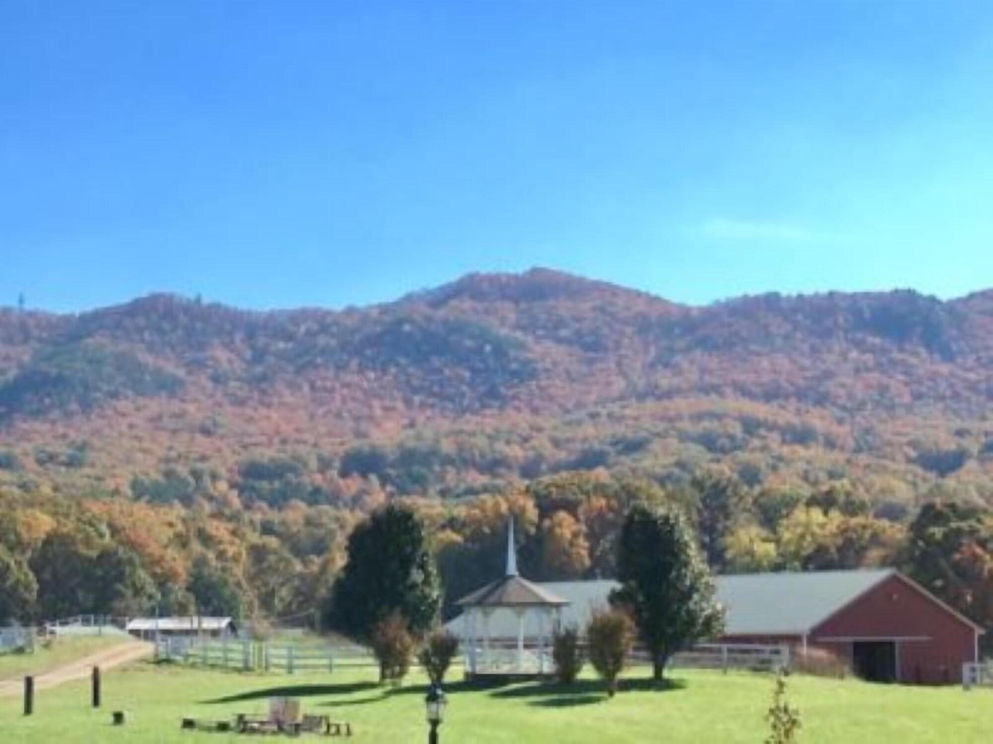 Briggs Brothers Ranch & Resort - photo 14