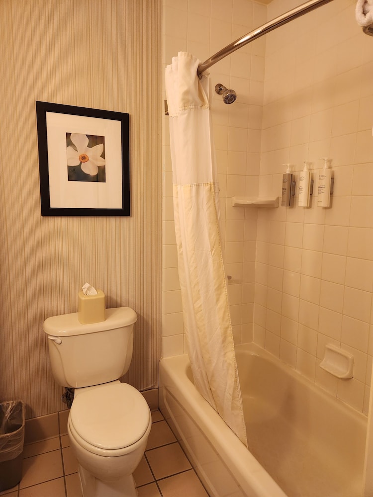 Hilton Garden Inn Redding - photo 35