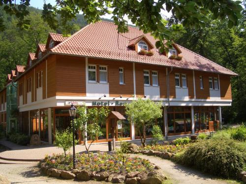 Kurpark Hotel Im Ilsetal
