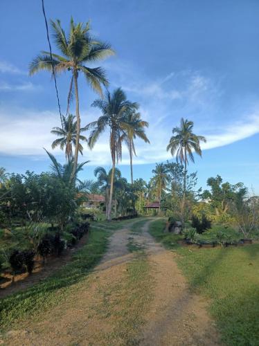 Asuneus Farm in Carmen, Philippines