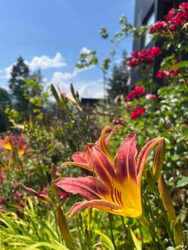 Complejo El Pañil in Lago Puelo, Argentina