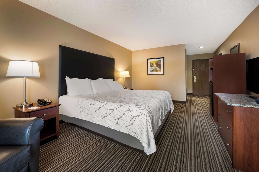 Best Western Park Oasis Inn - photo 19
