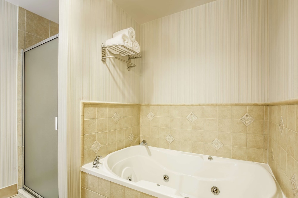 Hilton Garden Inn Dallas Lewisville - photo 18