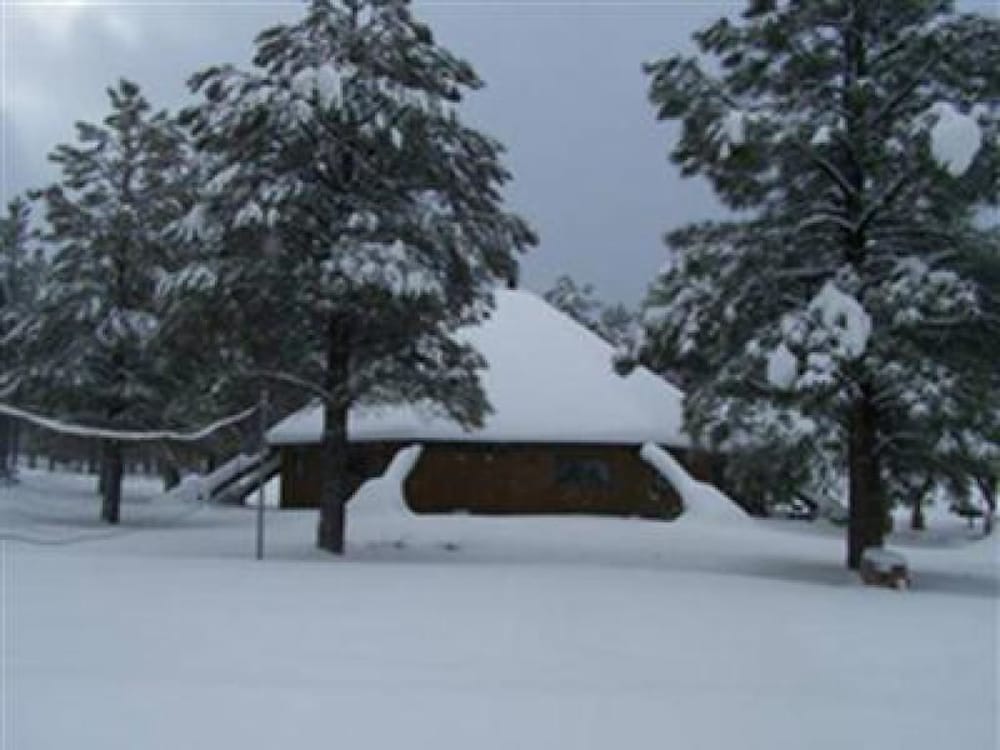 Arizona Mountain Inn and Cabins - photo 204