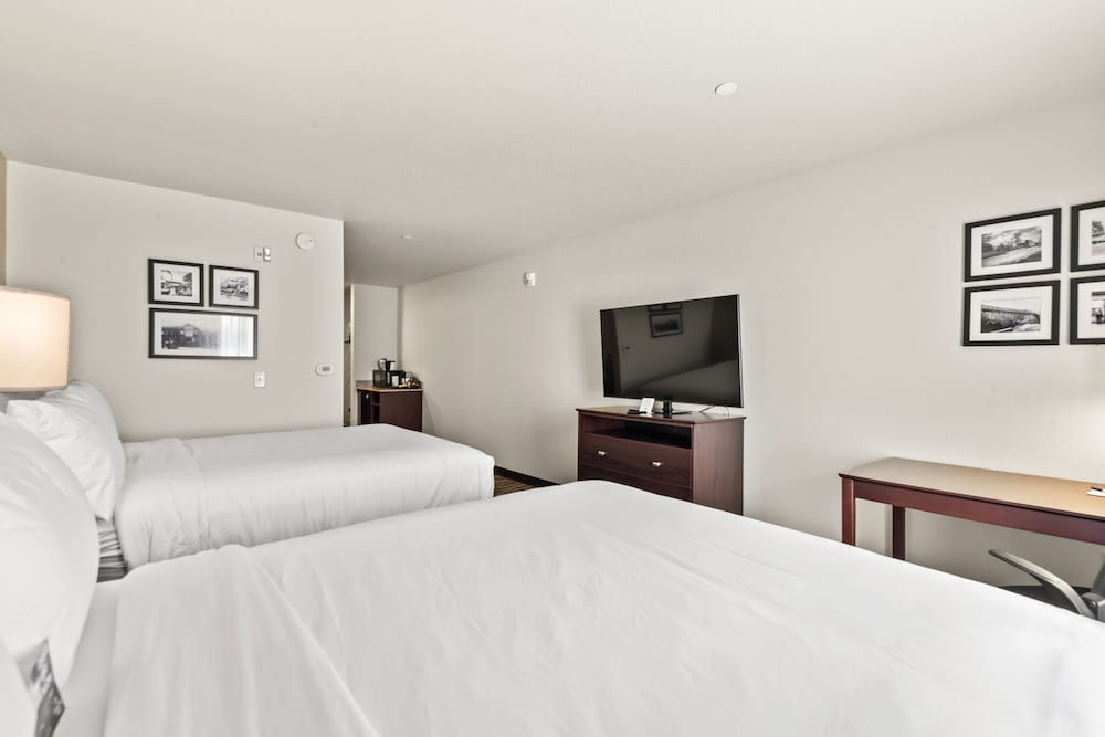 Cobblestone Hotel & Suites Cullman - photo 15