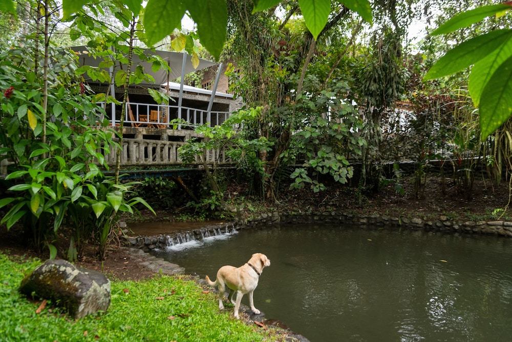 Rancho Margot in San Jose, Costa Rica