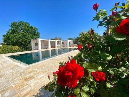 Trullo Cinquenoci in Locorotondo, Italy