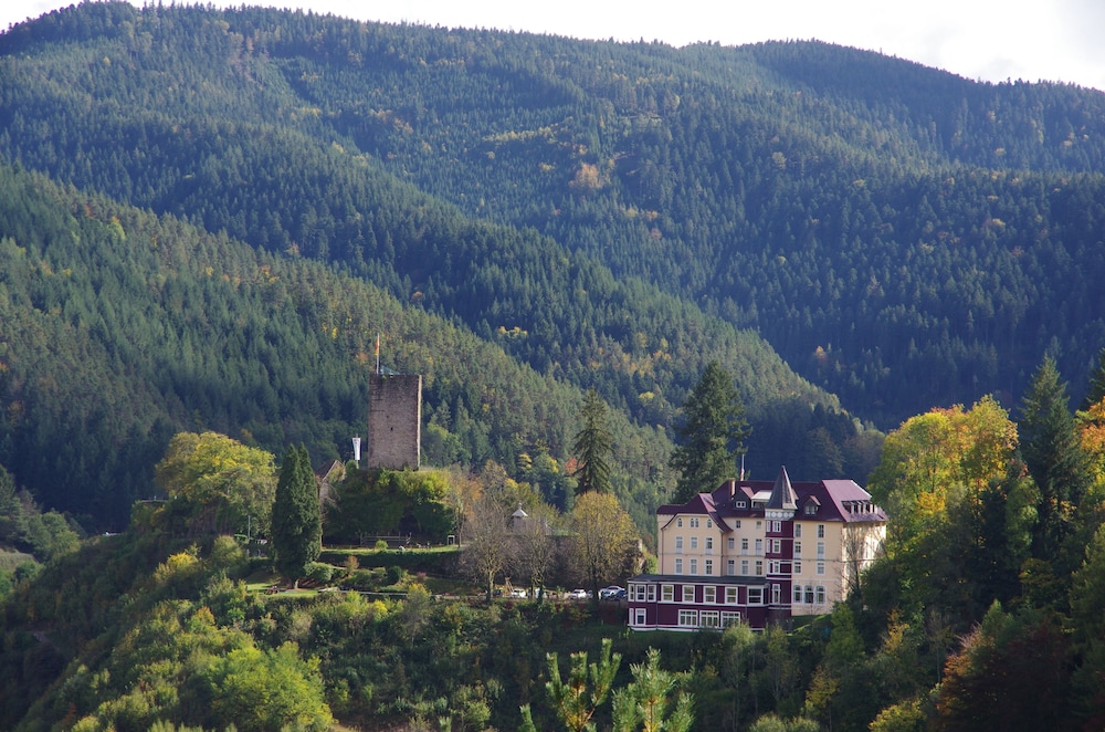 Hotel Schloss Hornberg