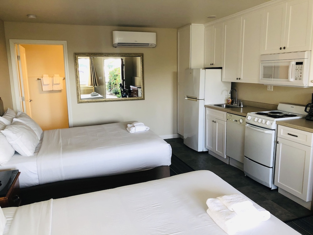 Moonlight Beach Motel - photo 10