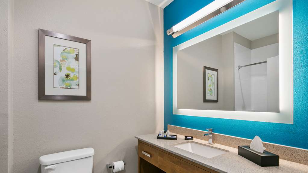 Best Western Plus Houston Atascocita Inn & Suites - photo 24