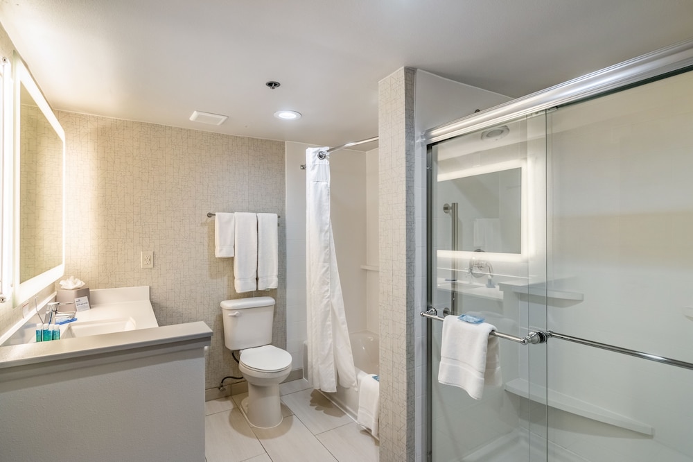 Holiday Inn Express & Suites Camarillo by IHG - photo 26