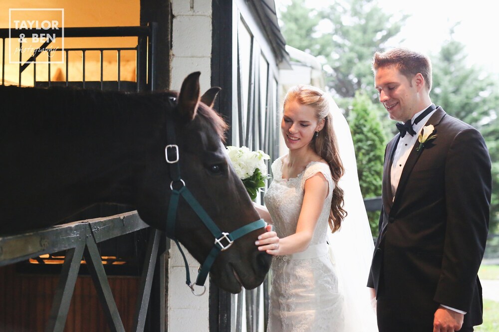 Black Horse Inn - photo 29