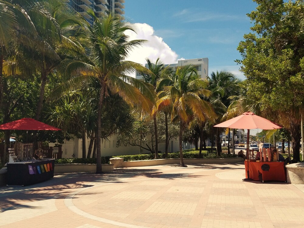 Seagull Hotel Miami Beach - photo 47