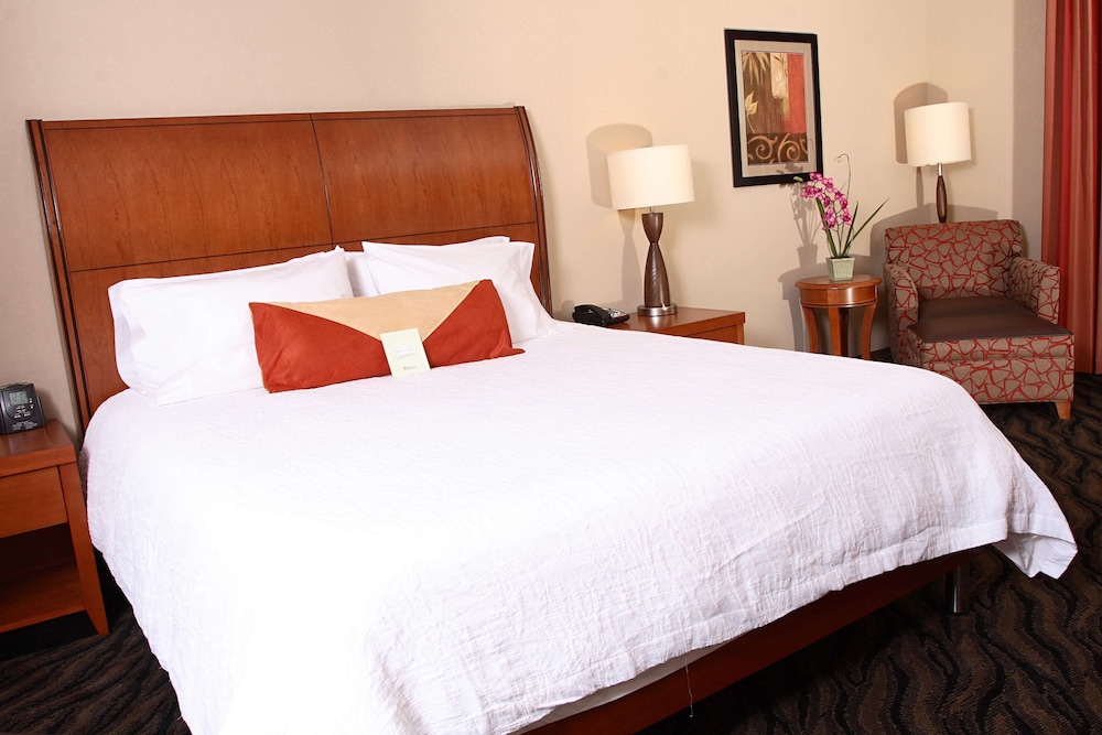 Hilton Garden Inn Chesapeake Suffolk - photo 15