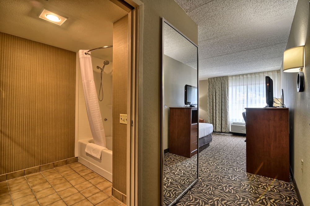 Clarion Inn & Suites Cortland University Area - photo 8
