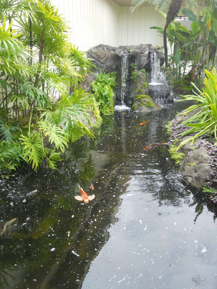 Gaia Luxury Oceanfront Resort Lihue - photo 40