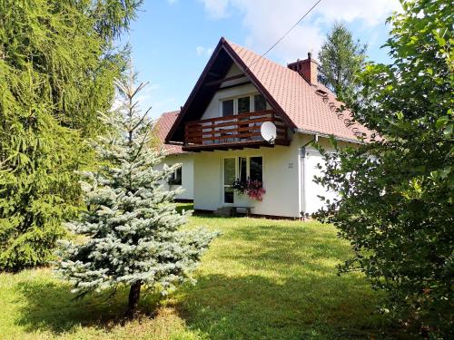 Maja 37 19656888 — Janowice Wielkie