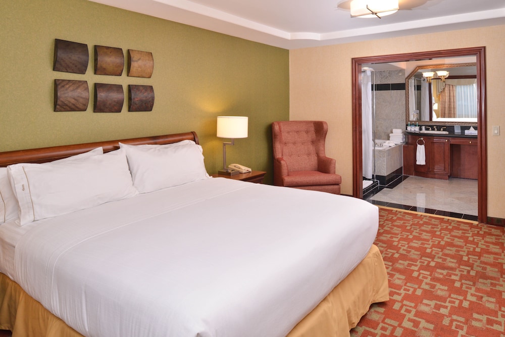Holiday Inn Express Hotel & Suites El Centro by IHG - photo 20