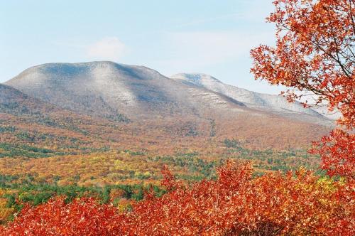 Winter Clove Family Inn - photo 18