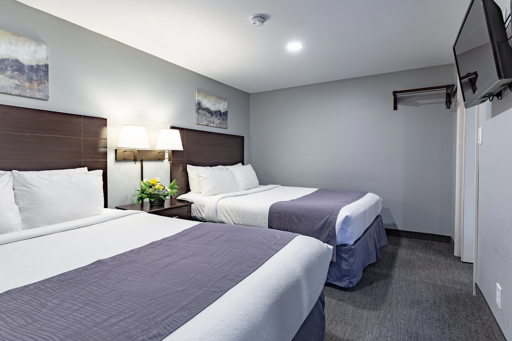 Mt Madison Inn & Suites - photo 22
