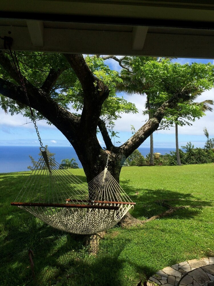 Hale Kukui Orchard & Cottages - photo 40