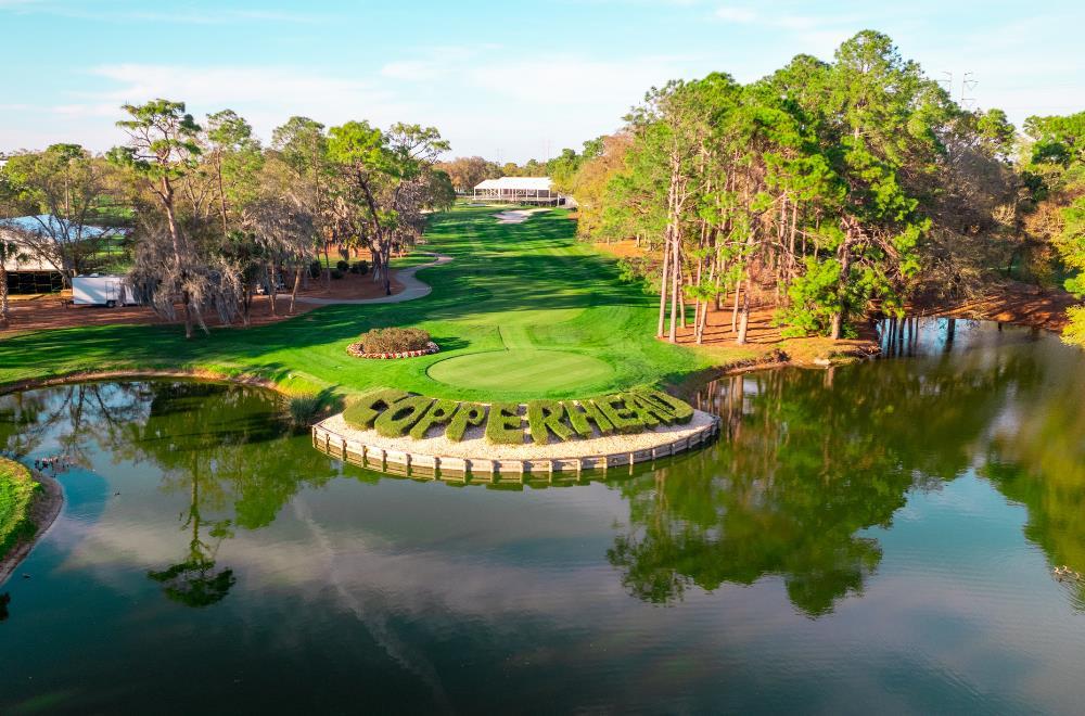 Innisbrook Resort - photo 84