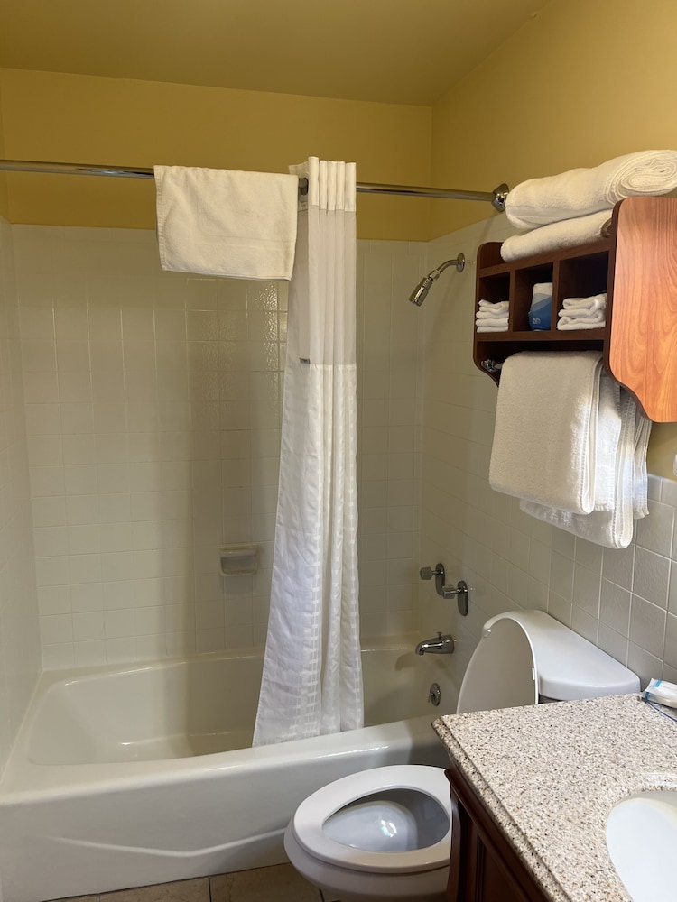 All Star Inn & Suites - photo 328