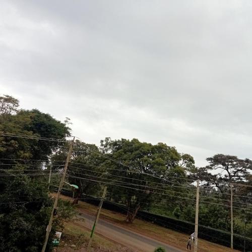Jaymorgan’ cabins — Nyeri — photo 3