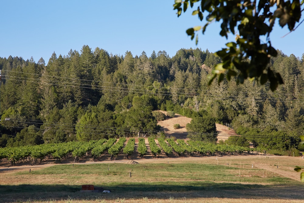 Mine and Farm The Inn at Guerneville CA - photo 63