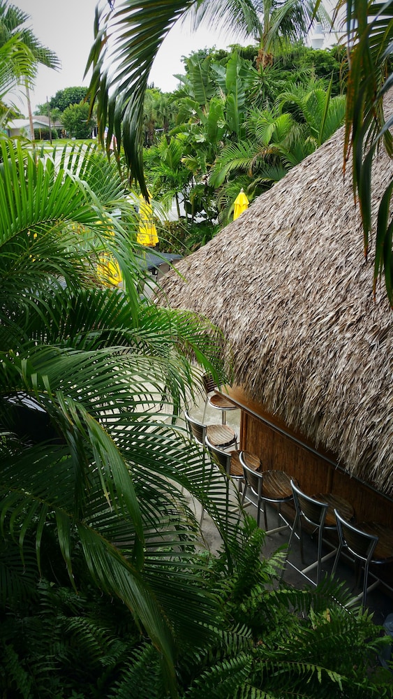 Dolphin Key Resort Cape Coral - photo 37